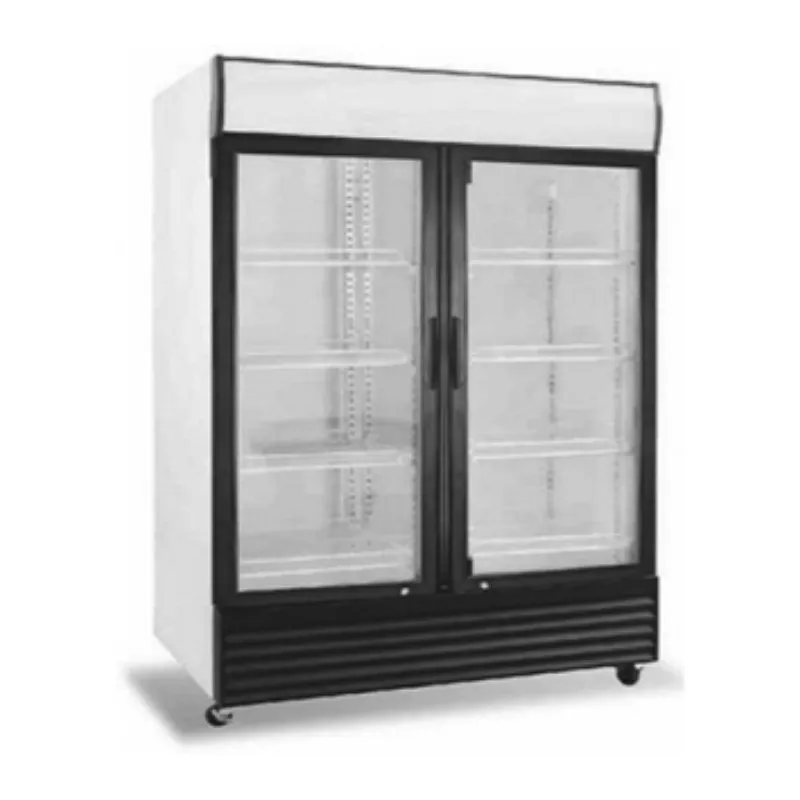 Vertical Glass Door