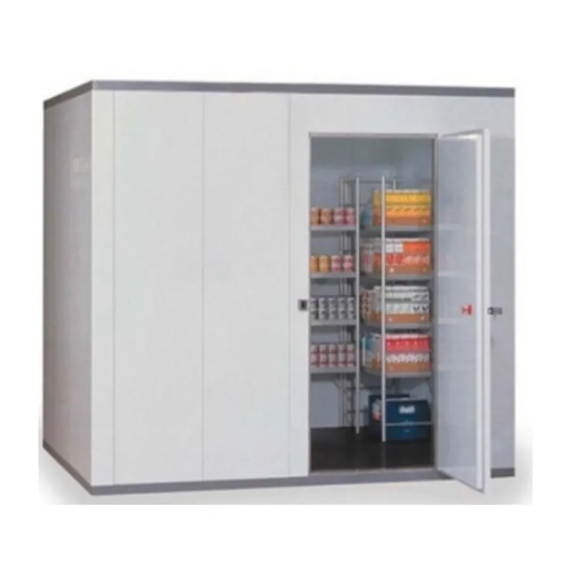 Walk-In Chiller Walk-In Freezer